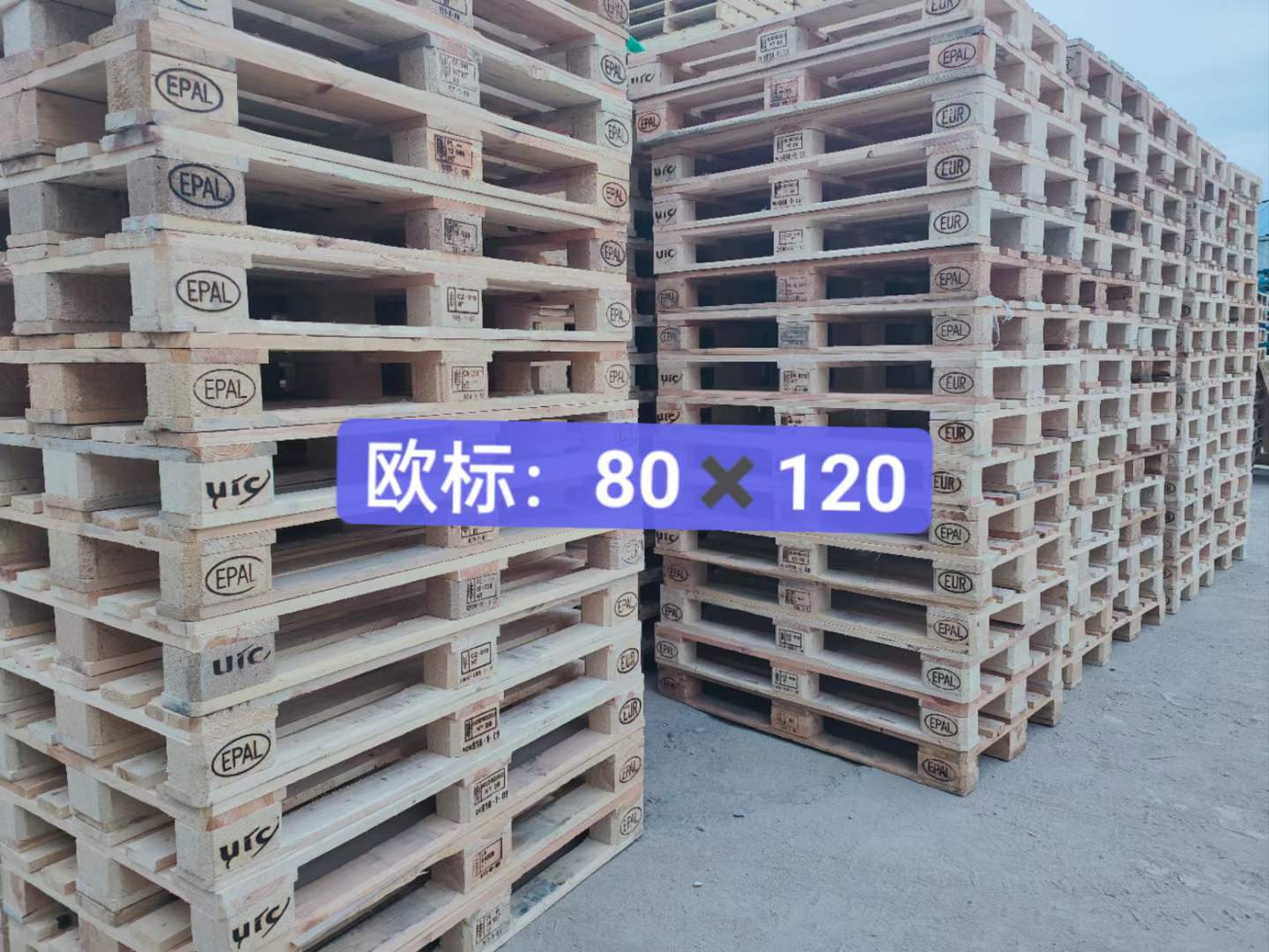歐標1208.jpg